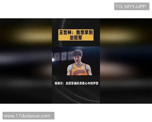 王哲林回顾被灰熊选中经历伤病影响了我在NBA的表现与发展